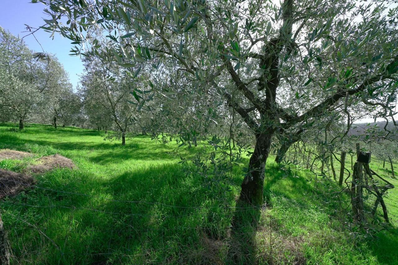 il Podere La Casina Monsummano Terme Esterno foto