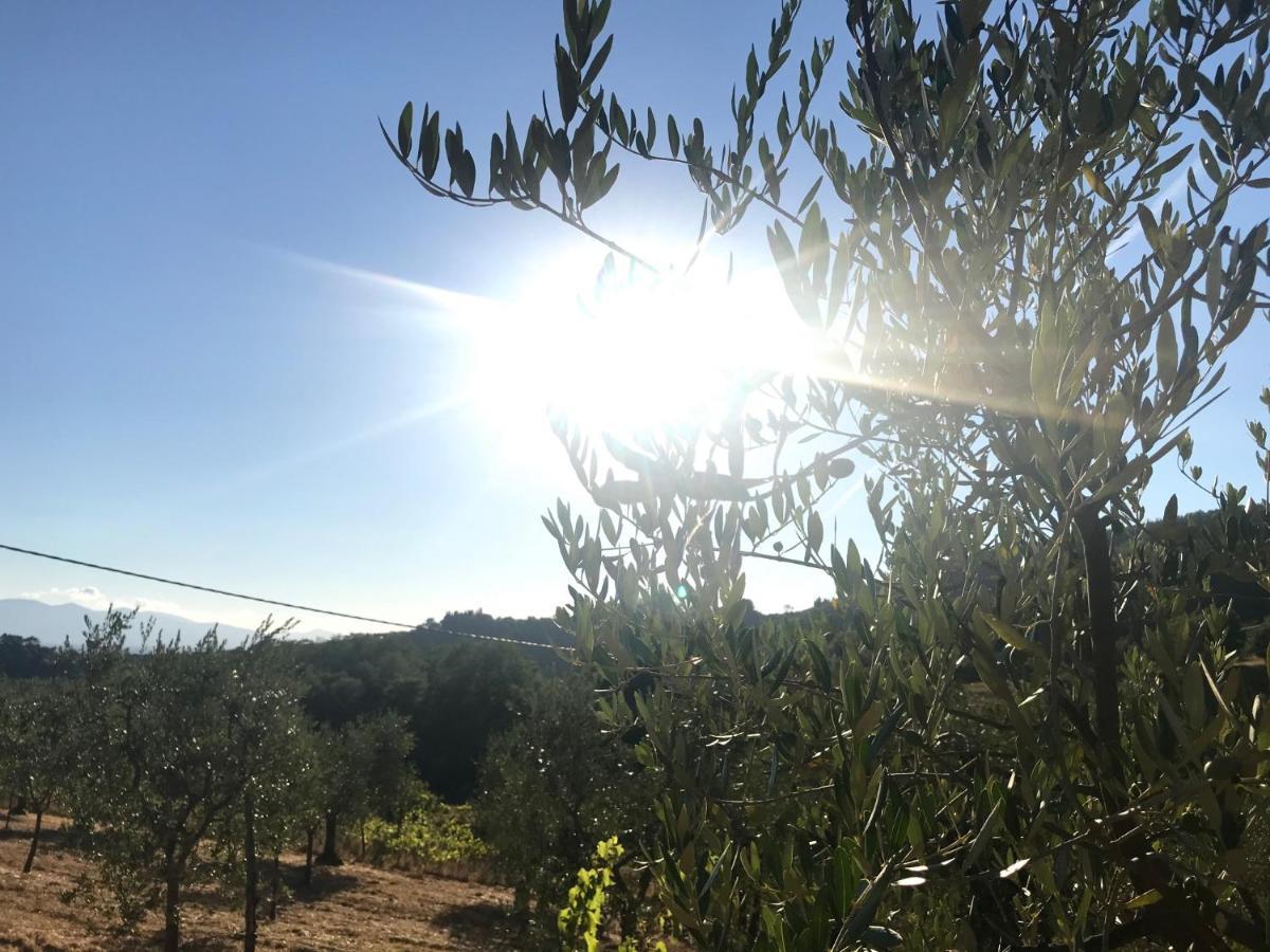 il Podere La Casina Monsummano Terme Esterno foto